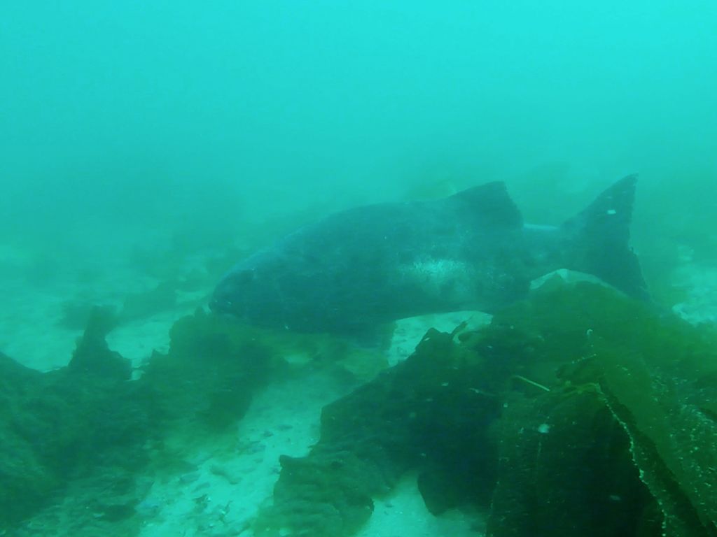 60e5c3a2-76f5-4042-a40d-13f70a98cf40