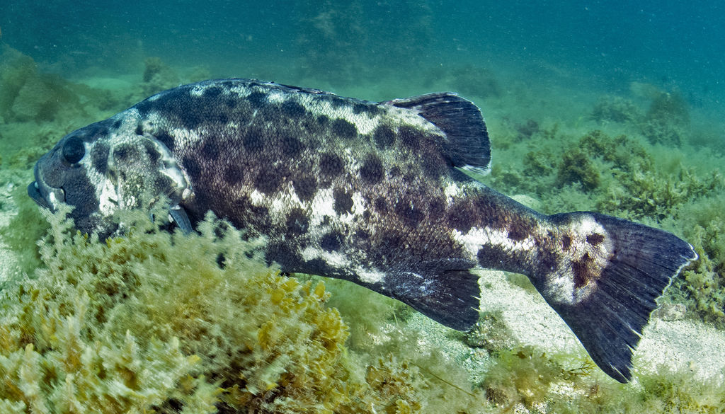 41418c79-8605-4955-82a7-9373458ca7e1