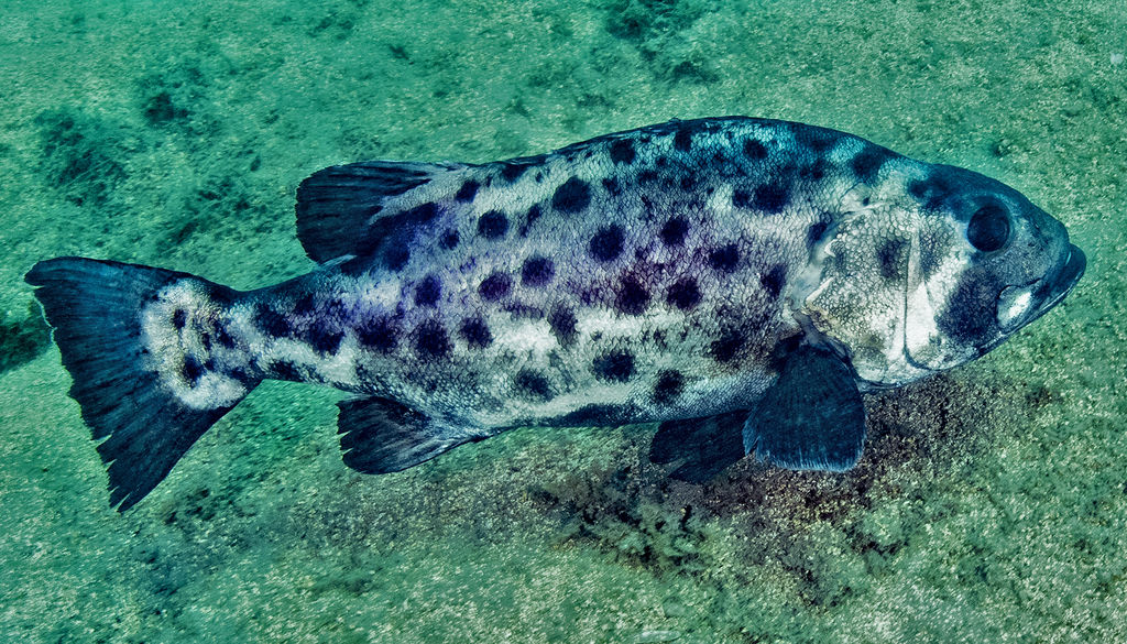 41418c79-8605-4955-82a7-9373458ca7e1