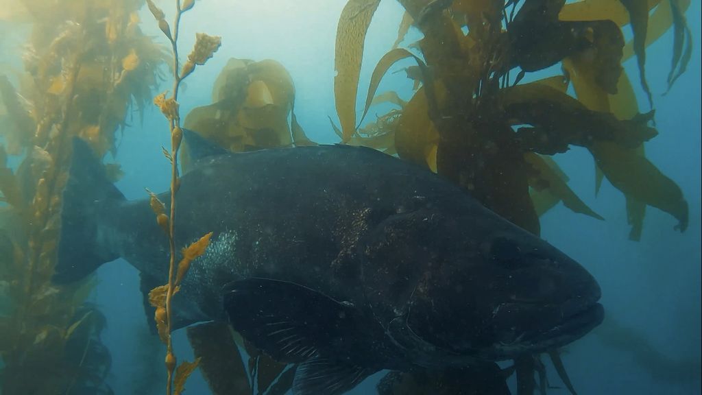 e5c20879-dd10-4692-860f-f29059647391