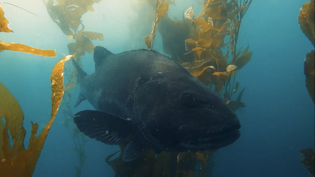 e5c20879-dd10-4692-860f-f29059647391