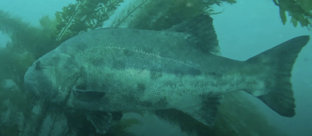 d0ab9745-b98a-475e-a206-ccb372ea95a5