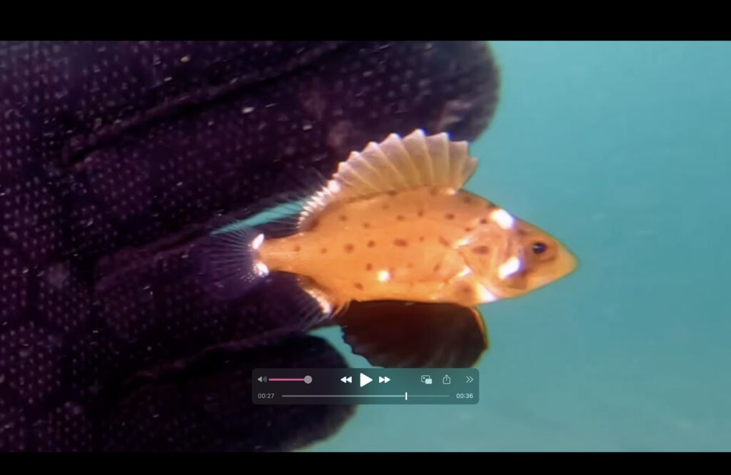 93b3004e-82d7-4969-a6bf-12be2a2a2ae8