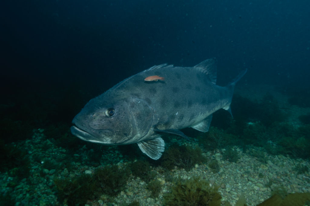 4f1b0e2a-306f-417d-9a68-e8b6f388875a