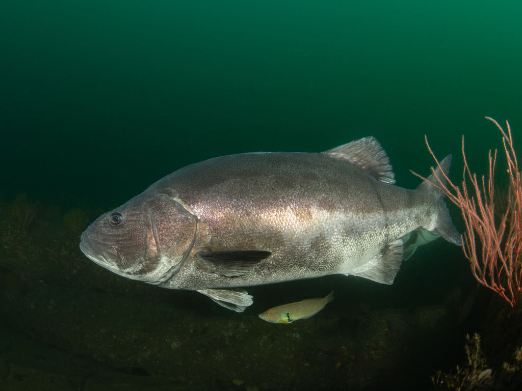 9590f0fd-0ae4-49d7-8b29-01cc14f72301