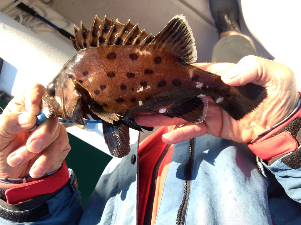 76a21669-9e85-4786-b761-dd507d904f0d