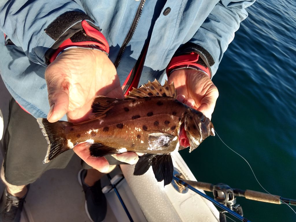 76a21669-9e85-4786-b761-dd507d904f0d