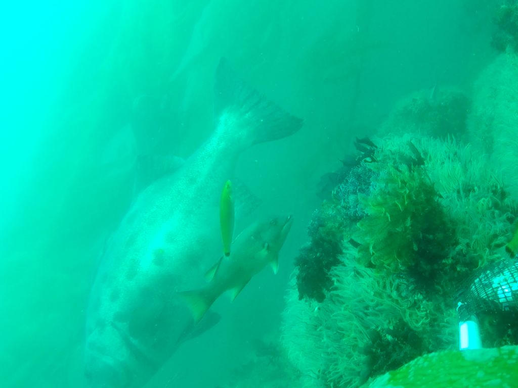 2237a388-f0e0-4794-8f46-9658c5f73dc1