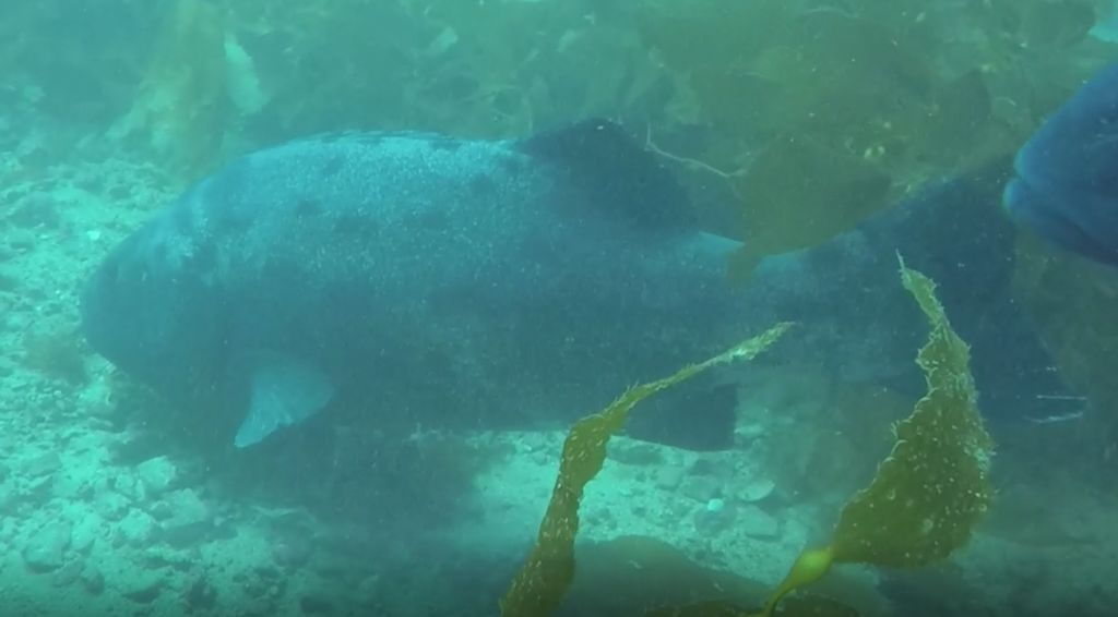 3ee9d8cf-8e2e-4d84-add1-fbe8fa62c3fd