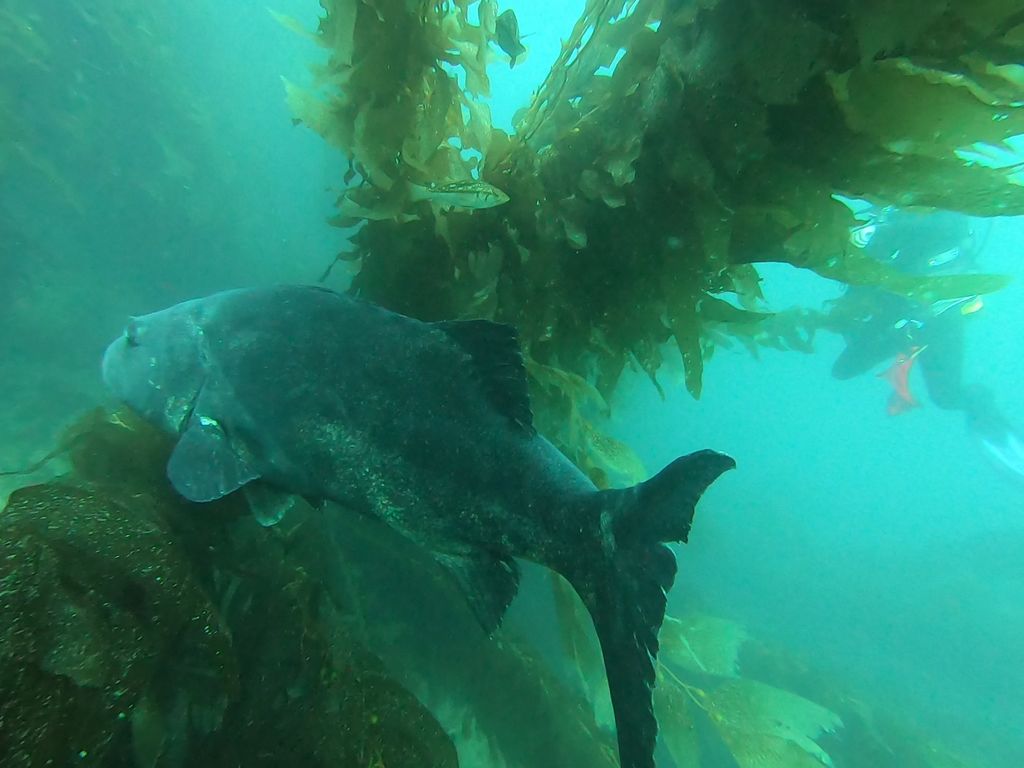 914bfc75-962a-421d-9ff0-40bde492b961