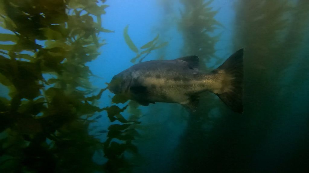 7995452a-76af-47da-9b4f-c60ab11ff9c1