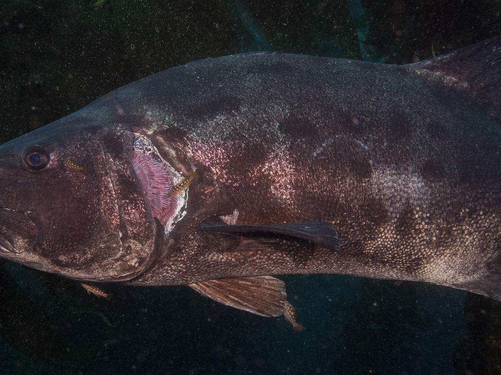 26c0d104-3f69-4d88-935a-20076757b035