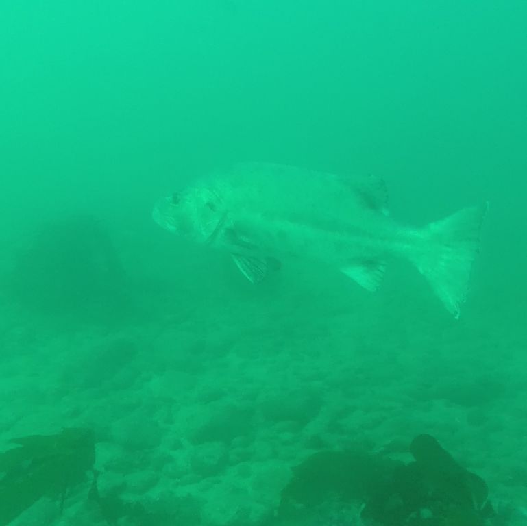 c99c59d8-dda0-4361-9e78-b36035b045c6