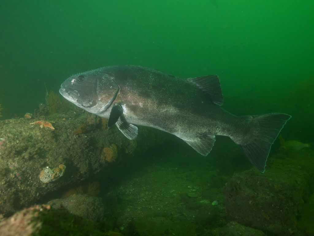 d1232eca-883a-4ca9-8167-bb7cab5956b9