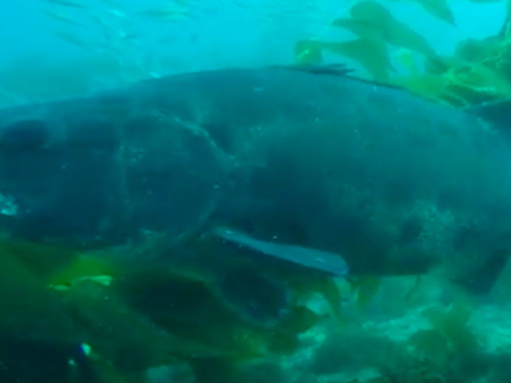 458fc7e2-95f3-4d9a-a9e6-cf2b49412684