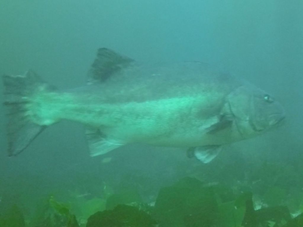 587e293d-f353-4129-9058-d114b3d2387b