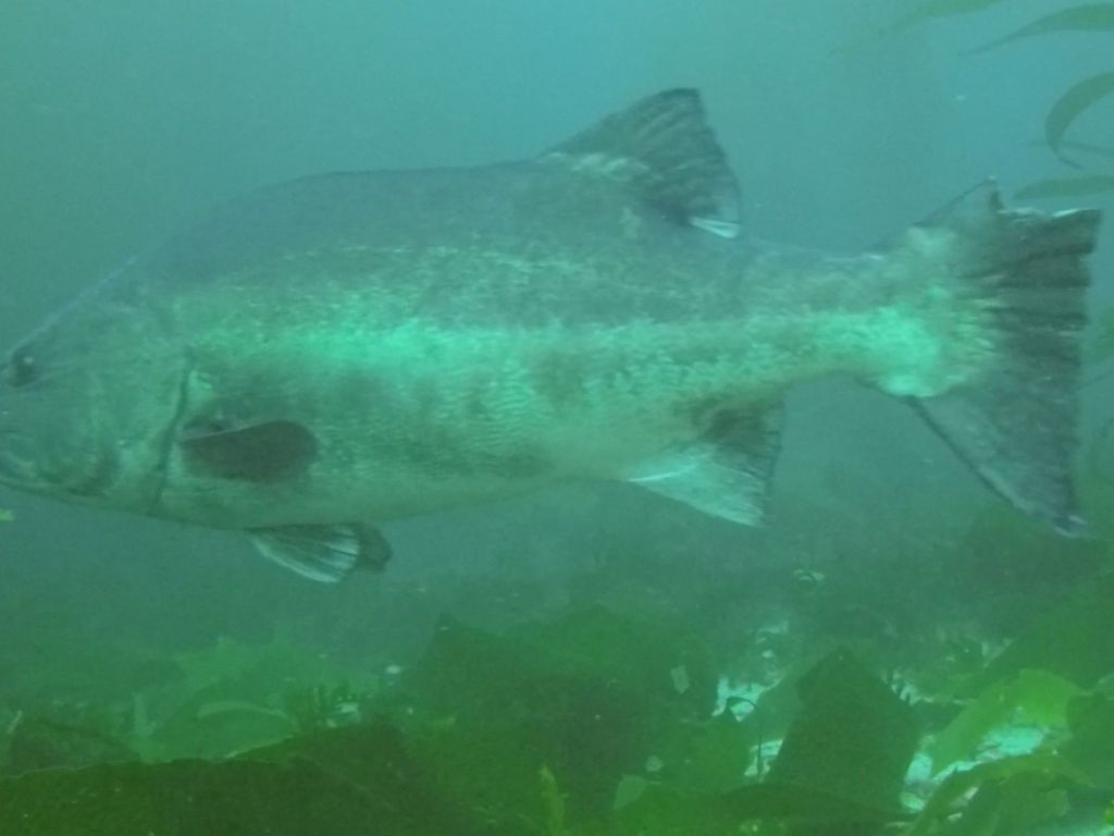 587e293d-f353-4129-9058-d114b3d2387b