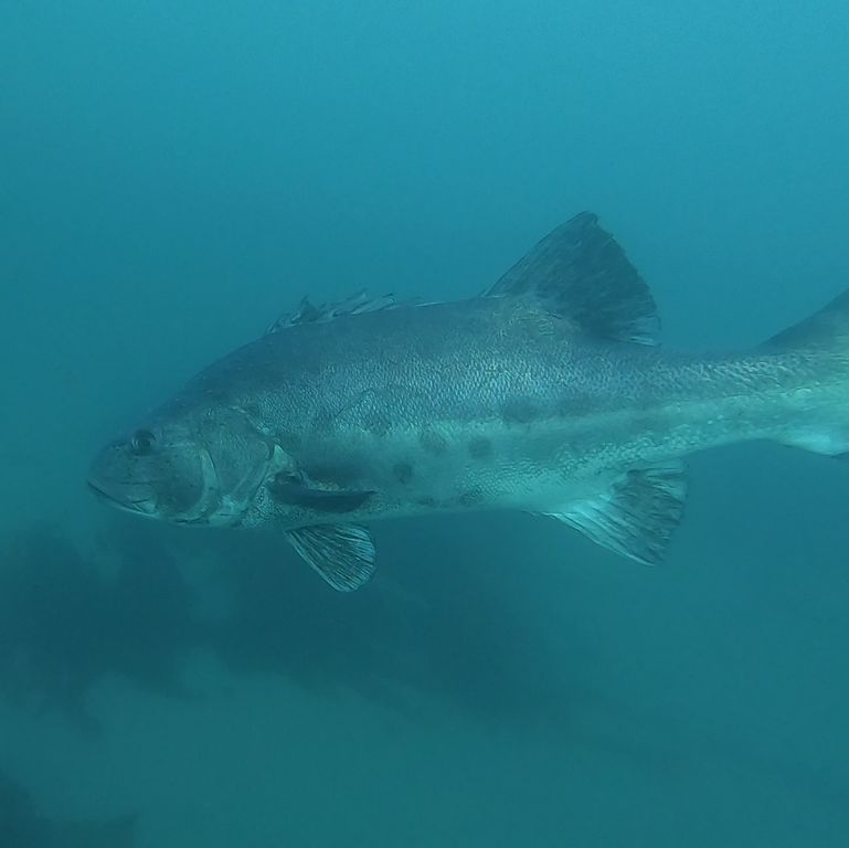 1ba8c438-1e74-4a99-929c-7abc87479f4e