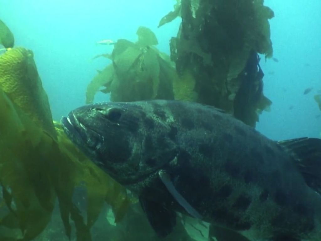 48a54be2-c15f-475d-9077-0db6565b7d09