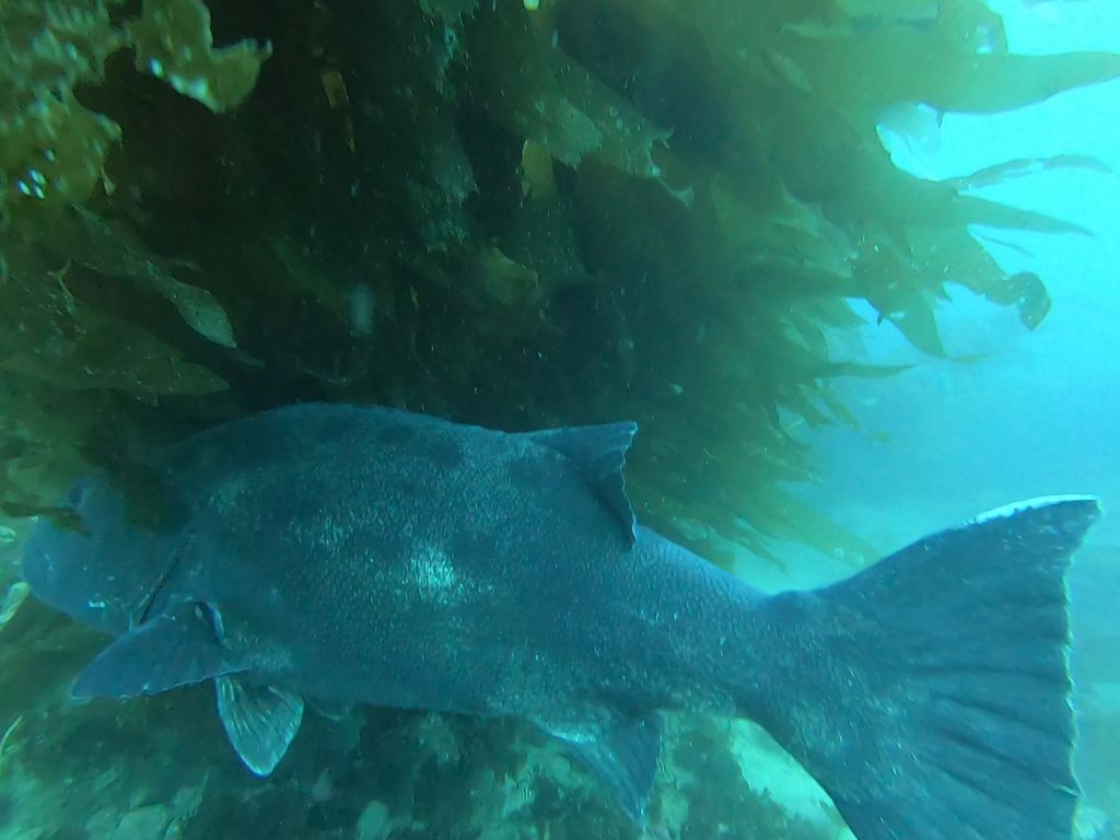 506fa7cf-a9cd-4808-910c-9ff836b4cd43