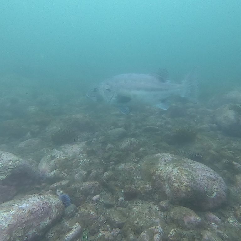 2f3d090c-9f5a-4873-a3c4-dbf6d139cb41