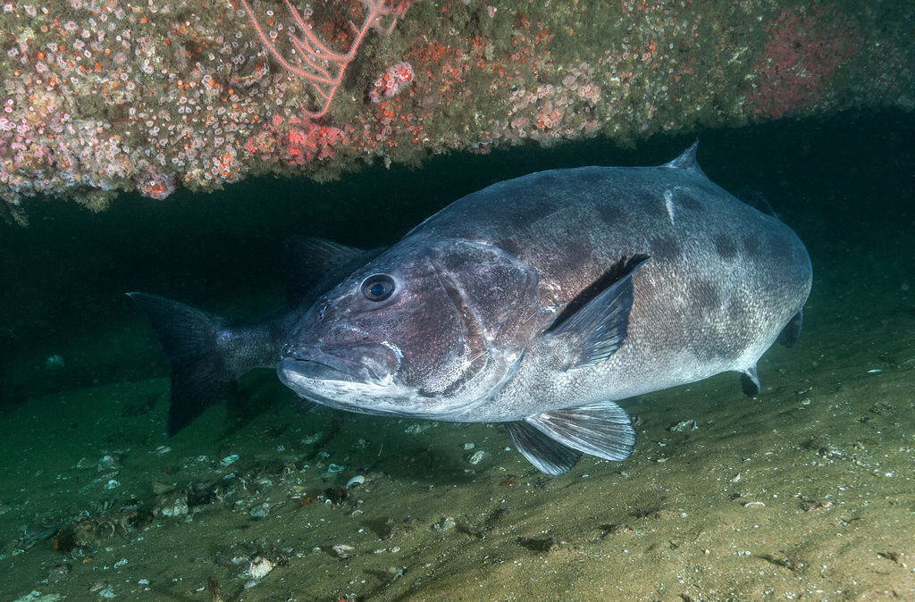 6db1a3a2-52d9-4157-b8f7-dd44892f46c2