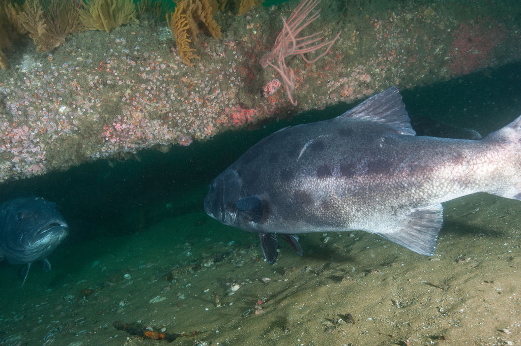 6db1a3a2-52d9-4157-b8f7-dd44892f46c2