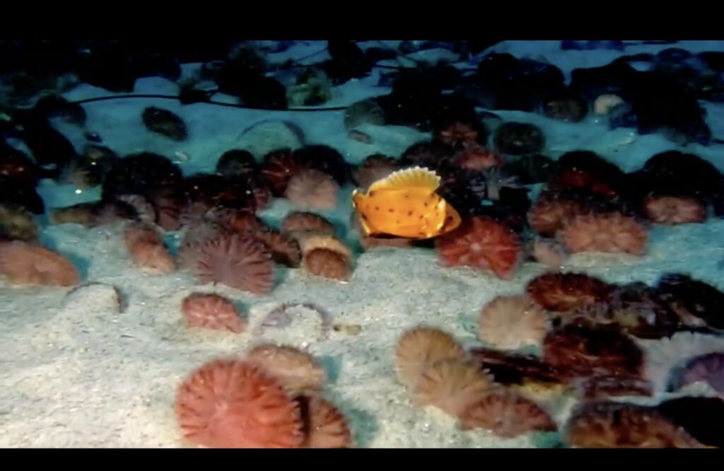 9c757ad5-49bf-4b6d-abdd-ebdc372a2856