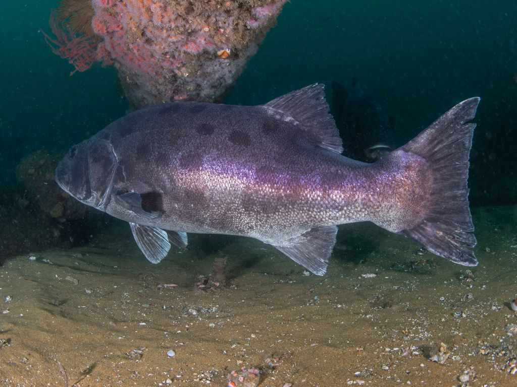 72f84bbd-ac6a-40ff-b7a8-12c22e228365