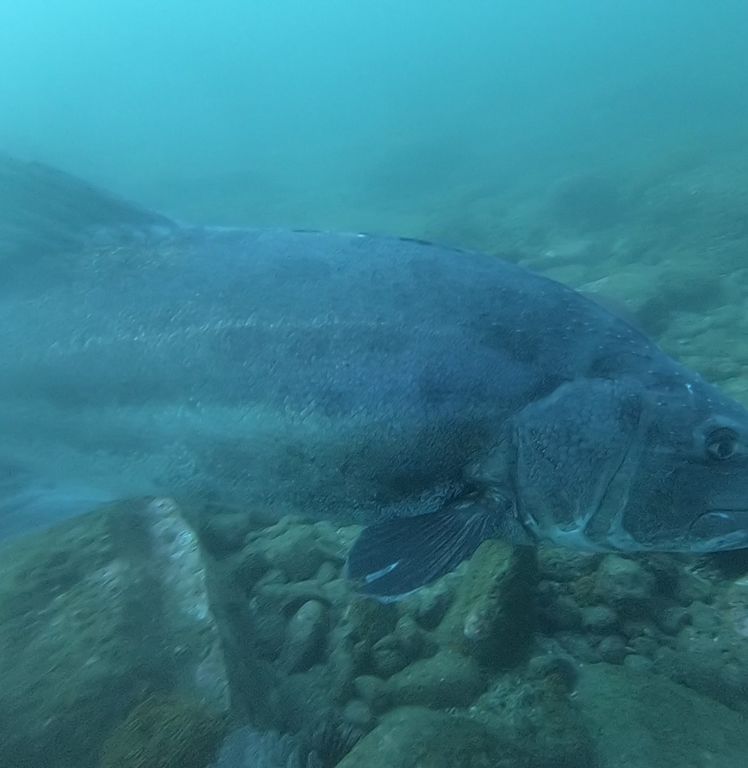 c22cb4b8-0ddf-4242-b6b9-025c4acd32f4