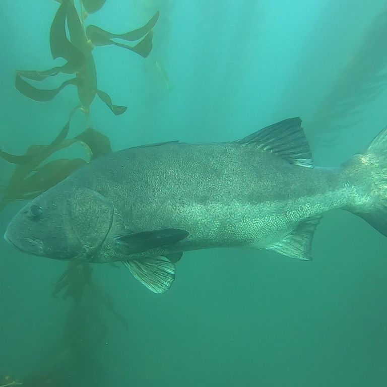 32c0e6fa-e2b0-4190-85ab-ec75f8d82e97