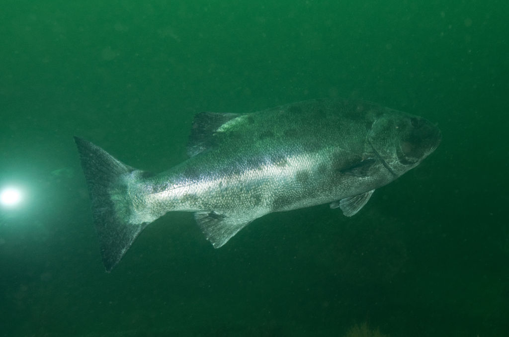 e96d9f29-6ad5-4075-a8f2-b6d2e1c4c90c