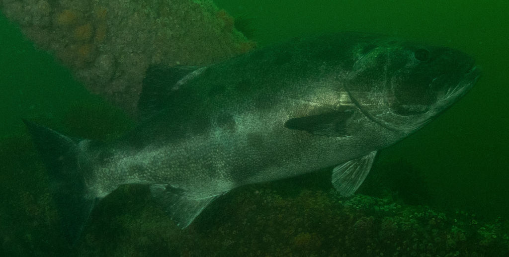 e96d9f29-6ad5-4075-a8f2-b6d2e1c4c90c