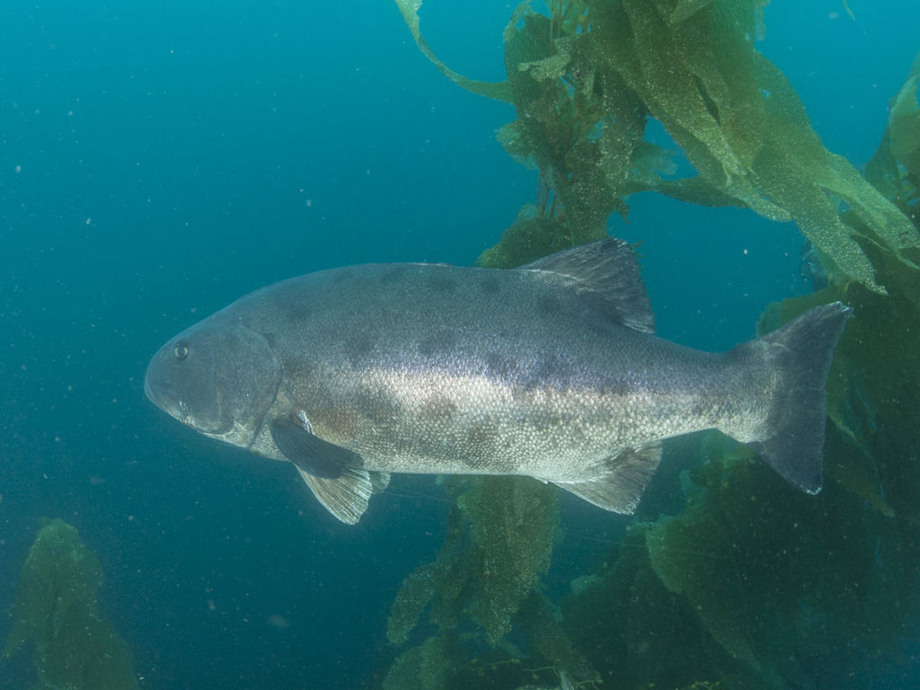 b3340fd0-ba02-4d8f-b8fe-5805b2114c4a