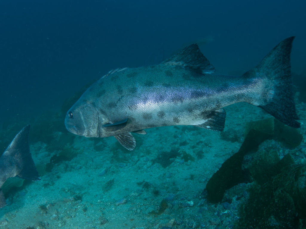 469e44f0-ea60-45c2-ad96-f90545b6a217