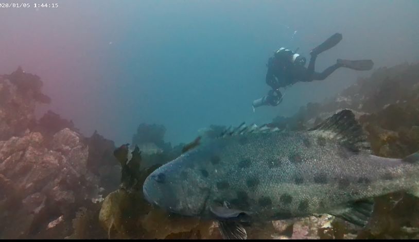 87cc75dd-a4a1-4fd6-9a36-9e1d5faee8e0