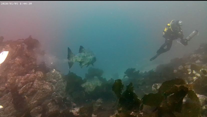 87cc75dd-a4a1-4fd6-9a36-9e1d5faee8e0