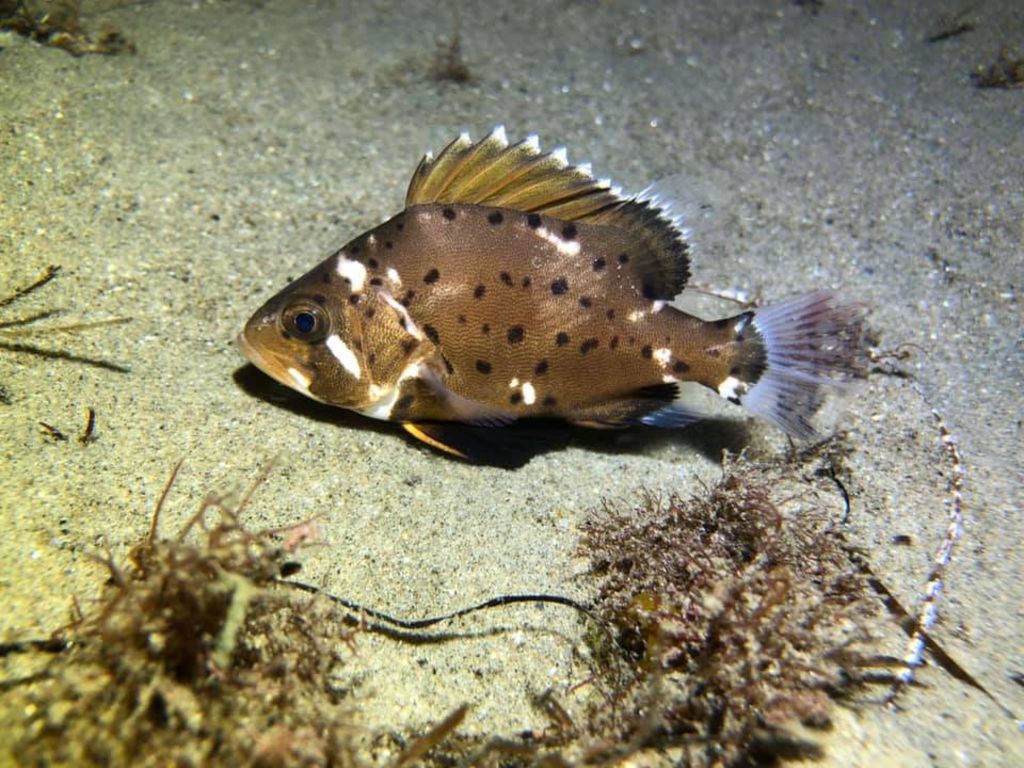 51f23ab0-d270-4e79-825b-b14bb238b664