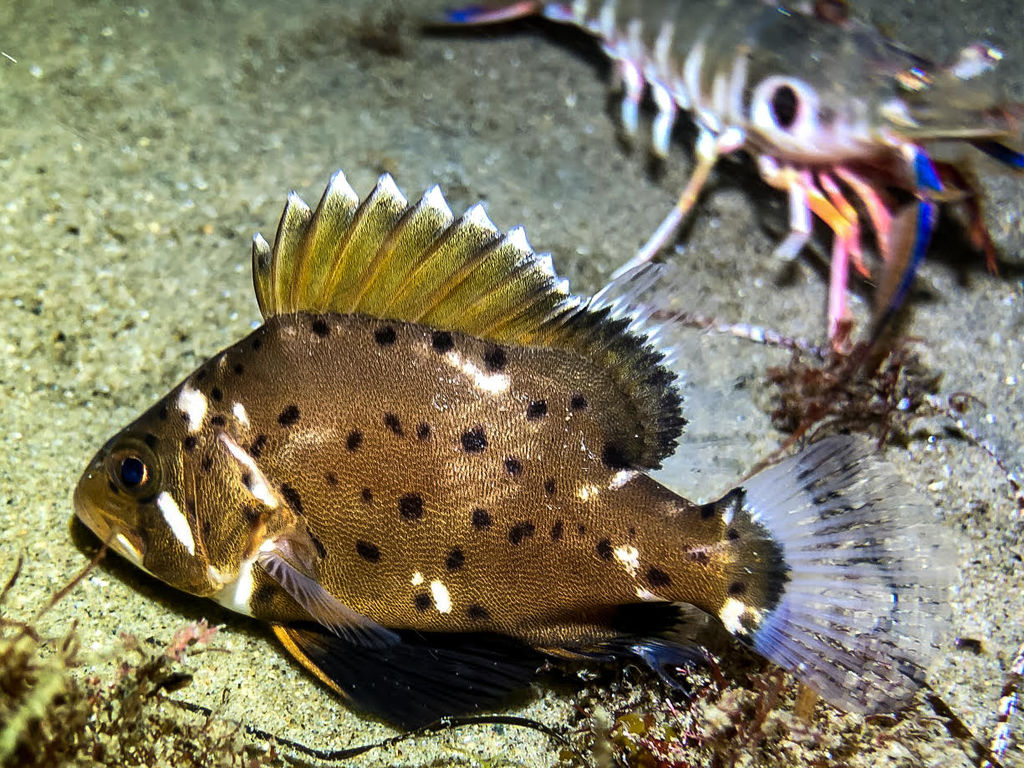 51f23ab0-d270-4e79-825b-b14bb238b664