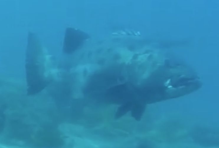 4808e944-00b5-4c76-b766-cd16d508680a