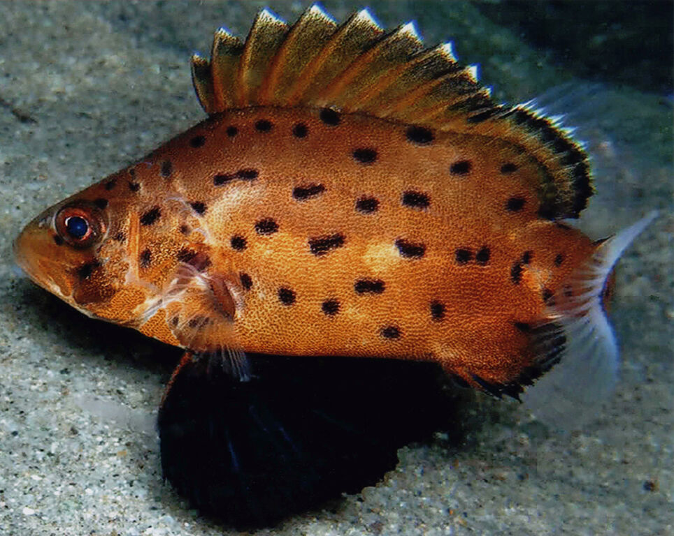 d709a46c-69a3-4ead-8e4e-5d8507616be9