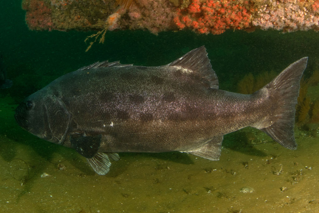 753709fd-4840-44e5-a2d7-262923f8b1dc