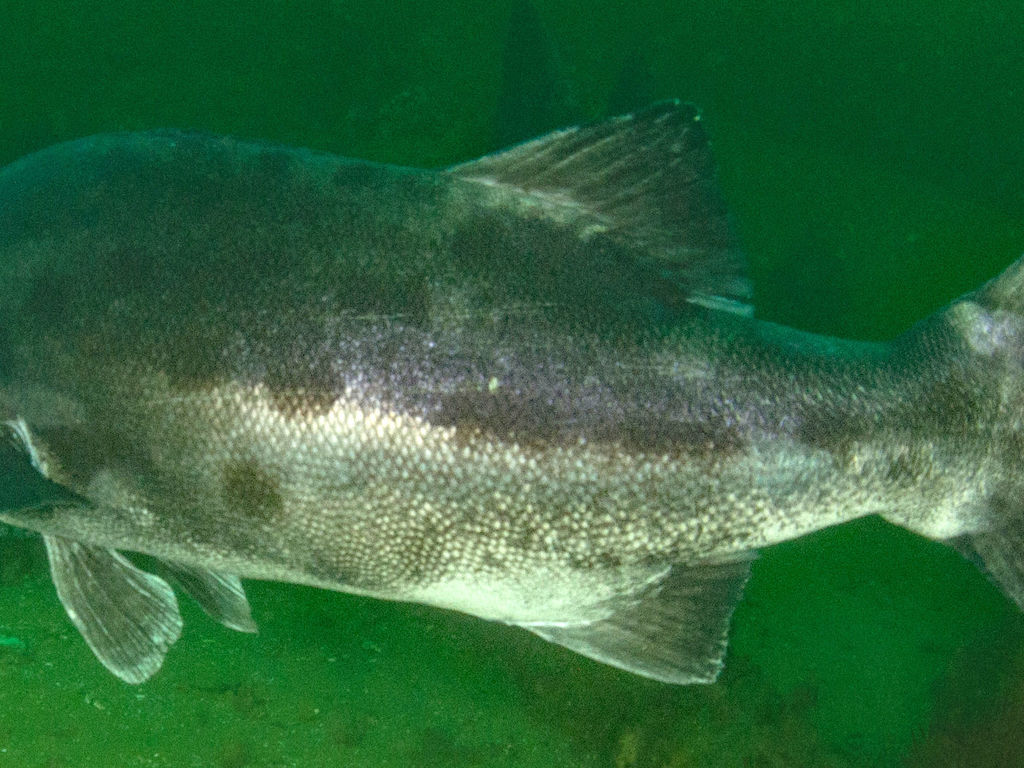 046e5387-d08a-4605-94bf-6d6ee56817a0