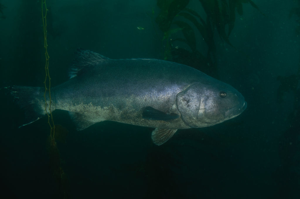 ca424c22-d333-46f2-ab0d-4baaeeb95266