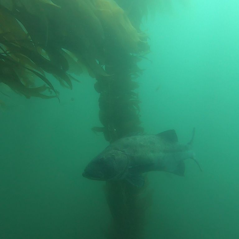 256eadb7-4868-4906-84d3-9bf98a81bdc6