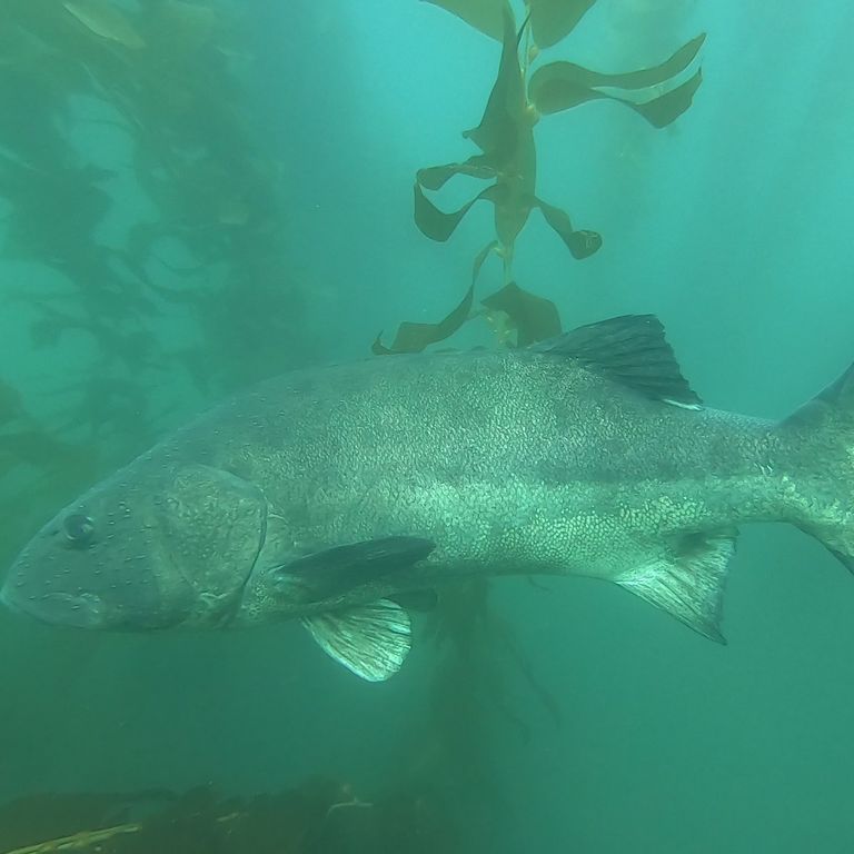 32c0e6fa-e2b0-4190-85ab-ec75f8d82e97