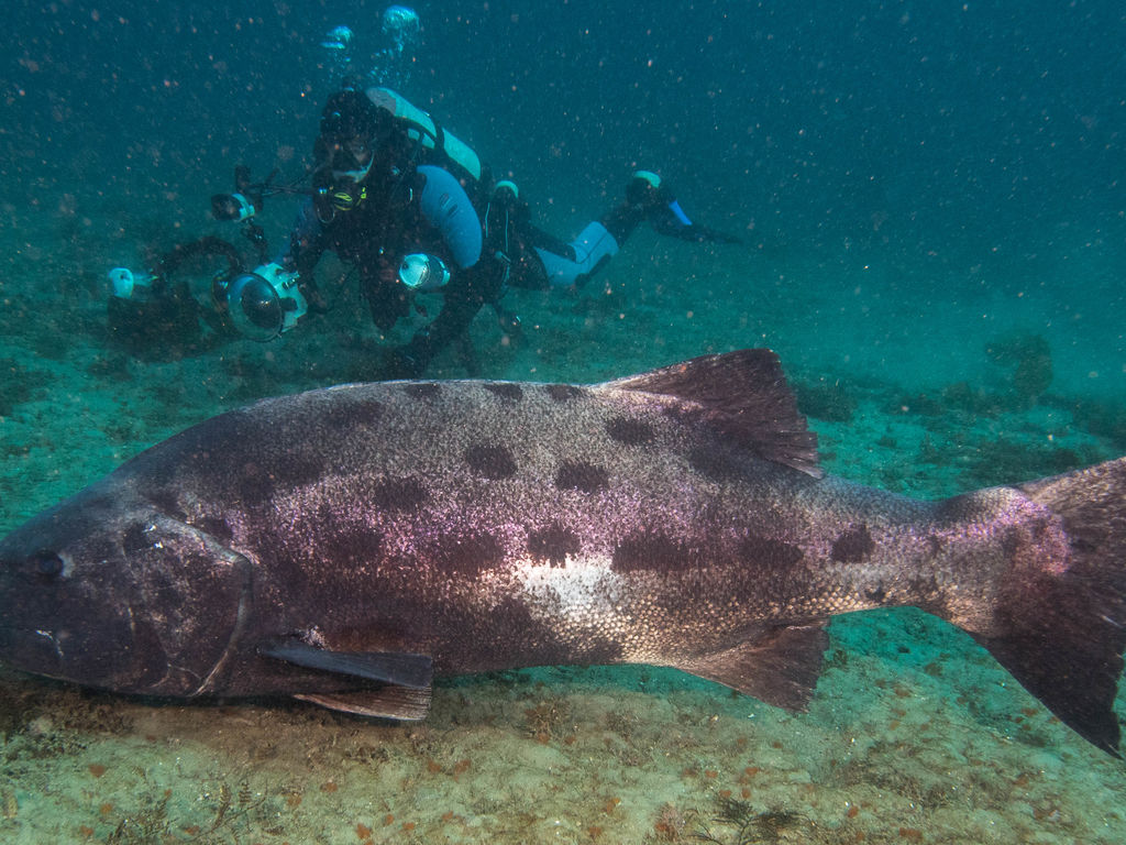 a087d8d1-4337-406a-bdbc-8096386e2692