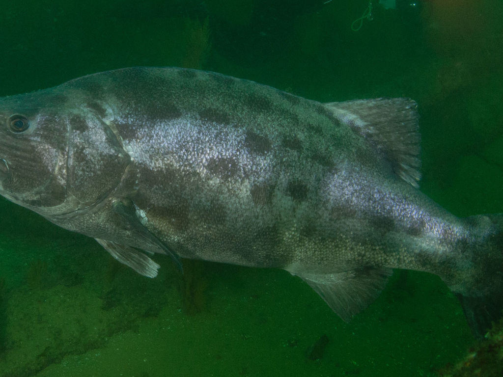 9590f0fd-0ae4-49d7-8b29-01cc14f72301