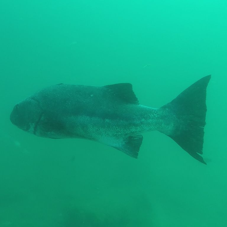 00d324c5-7220-47f3-bad6-2e33f322220b