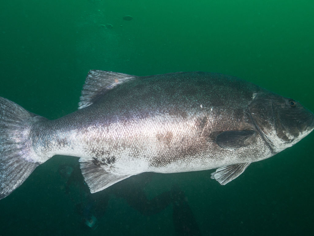 09fd514d-44aa-440b-98e5-a9ce4c9c07cd